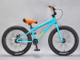 Medusa 20” Teal Wheelie Bike